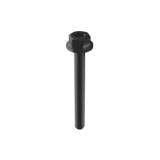 Esdec Mounting Screw M6 x 55mm - Standard Finish