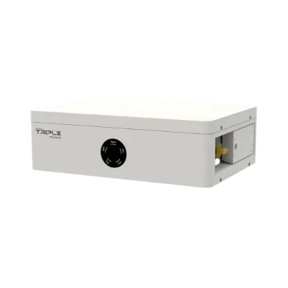 SolaX Triple Power HS25/HS36 Battery Management Unit – MCS0800